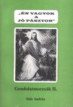 Süle András - Gondolatmorzsák II. [antikvár]