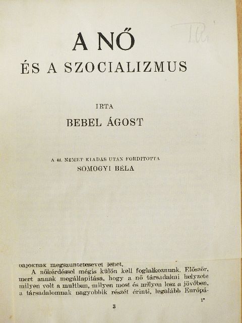 Bebel Ágost - A nő és a szocializmus [antikvár]