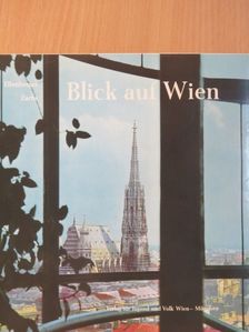Hugo Ellenberger - Blick auf Wien [antikvár]