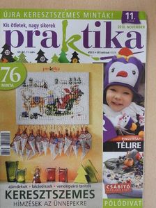 Praktika 2010. november [antikvár]