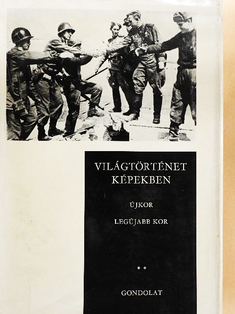 Hahn István - Világtörténet képekben II.  [antikvár]