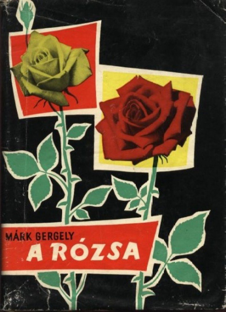 MÁRK GERGELY - A rózsa [antikvár]