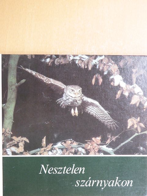 Renate Schönn - Nesztelen szárnyakon [antikvár]