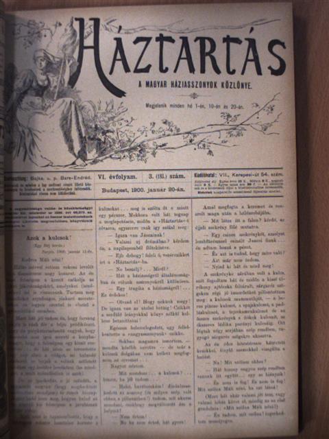 Jeanne Marni - Háztartás 1900. (nem teljes évfolyam) [antikvár]