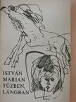 István Marian - Tűzben, lángban (dedikált példány) [antikvár]
