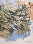 Szabó Noémi - Lithographies 2008 [antikvár]