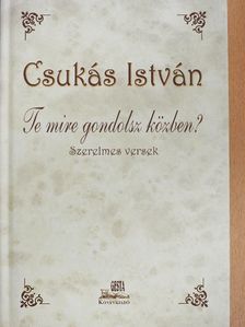 Csukás István - Te mire gondolsz közben? [antikvár]