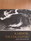 Arthur Rimbaud - Kardok, villogjatok! - lemezzel [antikvár]