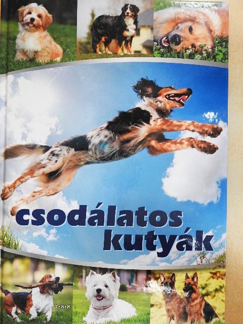 Csodálatos kutyák [antikvár]