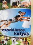 Csodálatos kutyák [antikvár]
