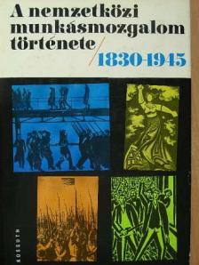Dr. Babirák Ilona - A nemzetközi munkásmozgalom története 1830-1945 [antikvár]