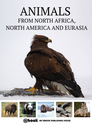 House My Ebook Publishing - Animals from North Africa, North America and Eurasia [eKönyv: epub, mobi]