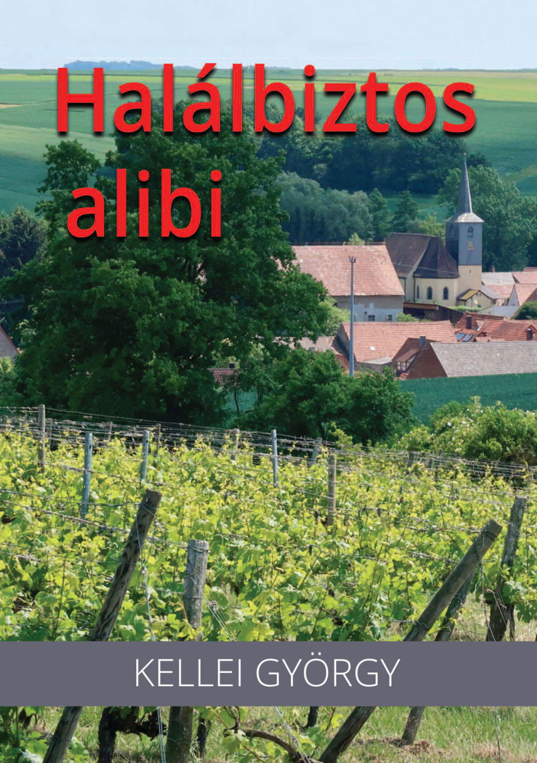 Kellei György - Halálbiztos alibi
