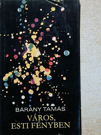 Bárány Tamás - Város, esti fényben [antikvár]