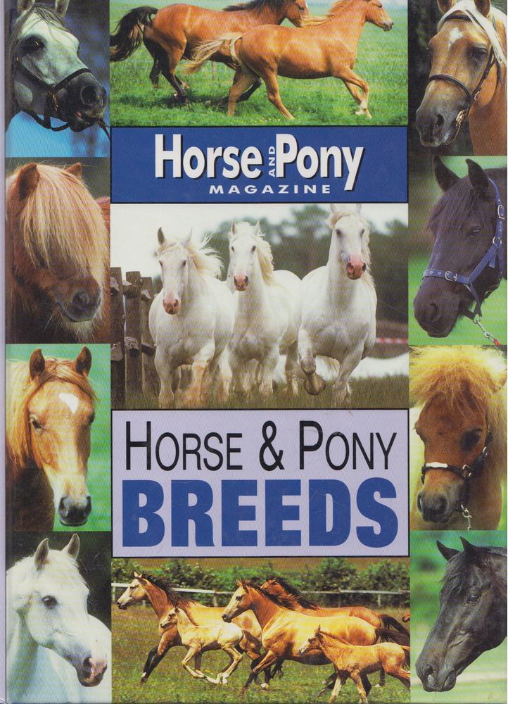 Jackie Budd - Horse and Pony Breeds [antikvár]