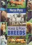 Jackie Budd - Horse and Pony Breeds [antikvár]
