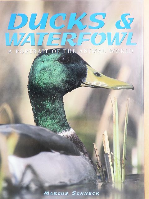Marcus Schneck - Ducks & Waterfowl [antikvár]