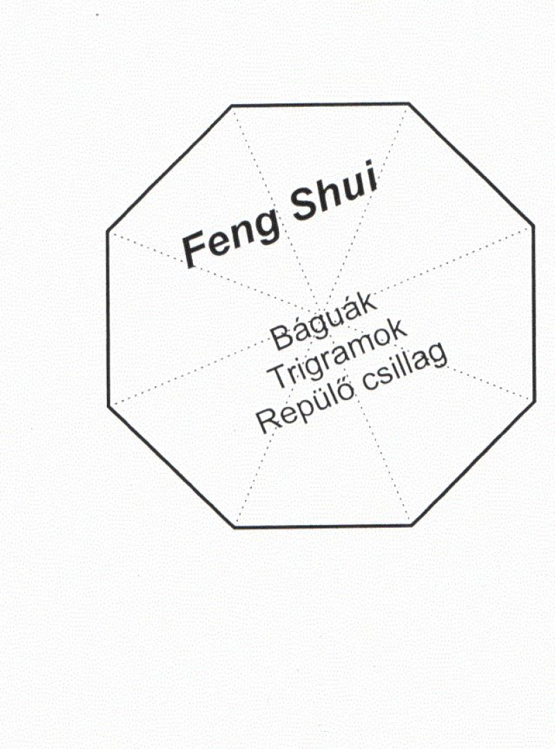Feng Shui [antikvár]