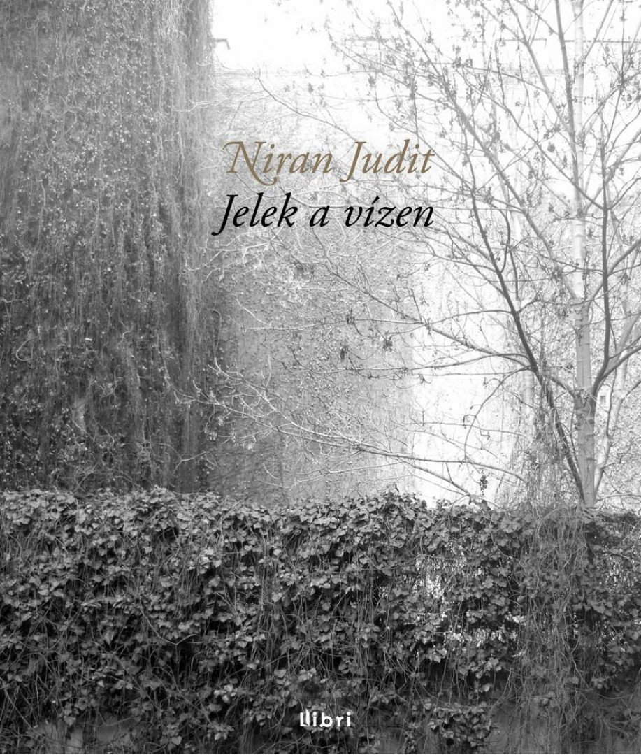 Niran Judit - Jelek a vízen [antikvár]