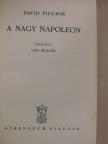 David Pilgrim - A nagy Napoleon [antikvár]