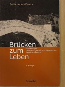 Boris Luban-Plozza - Brücken zum Leben [antikvár]