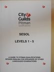 Pásztiné Fritz Adrienn - Pitman Qualifications SESOL - Levels 1-5 [antikvár]