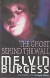 Melvin Burgess - The ghost behind the wall [antikvár]