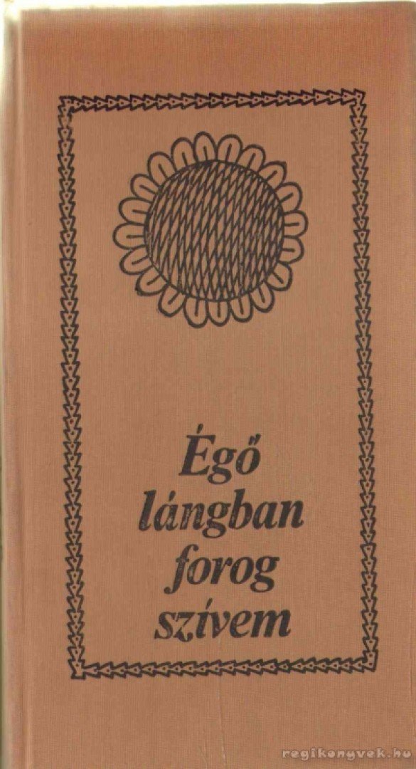 Kócziány László Dr. - Égő lángban forog szívem [antikvár]