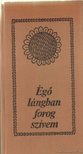 Kócziány László Dr. - Égő lángban forog szívem [antikvár]