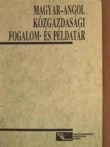 Anita L. Dancs - Magyar-angol közgazdasági fogalom- és példatár [antikvár]