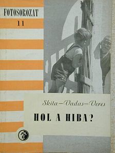 Skita Győző - Hol a hiba? [antikvár]
