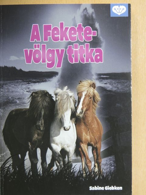 Sabine Giebken - A Fekete-völgy titka [antikvár]
