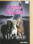 Sabine Giebken - A Fekete-völgy titka [antikvár]