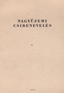 Pelsőczi Miklós - Nagyüzemi csibenevelés [antikvár]