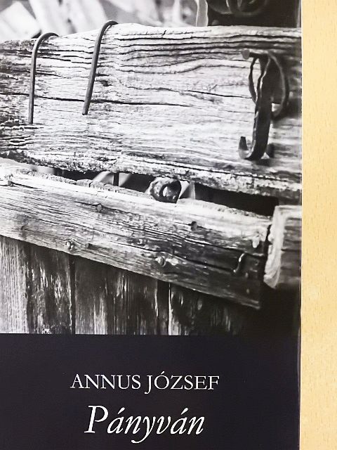 Annus József - Pányván/Egyenközű vonalak [antikvár]
