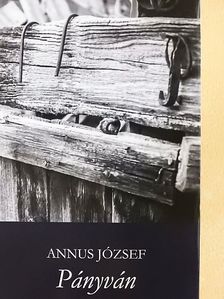 Annus József - Pányván/Egyenközű vonalak [antikvár]