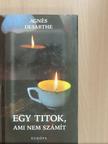 Agnés Desarthe - Egy titok, ami nem számít [antikvár]