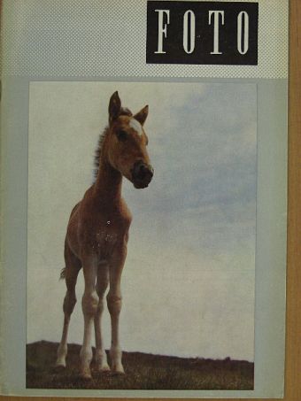Botta Dénes - Foto 1967. július [antikvár]