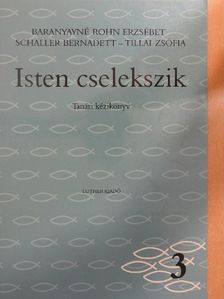 Baranyayné Rohn Erzsébet - Isten cselekszik 3. [antikvár]