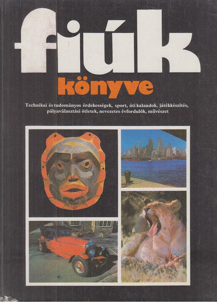 KARÁDI ILONA - Fiúk könyve [antikvár]