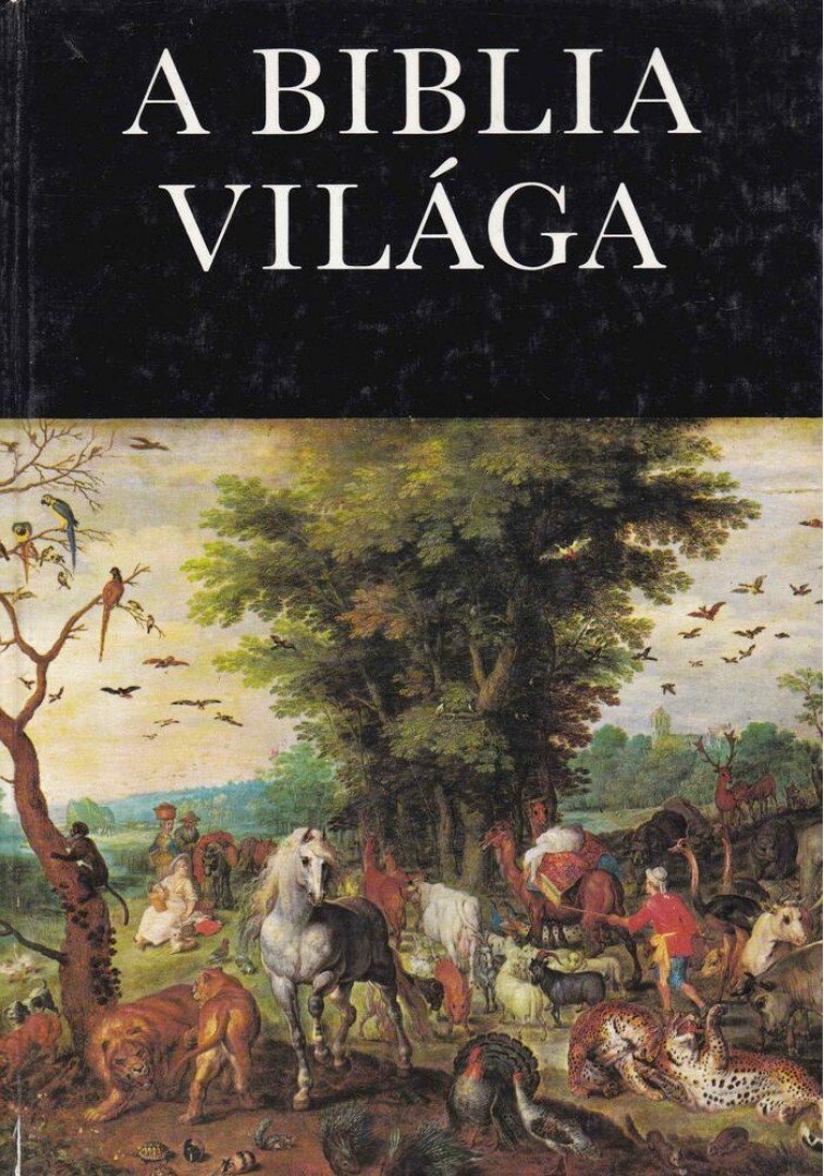Rapcsányi László - A Biblia világa [antikvár]
