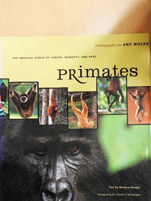 Barbara Sleeper - Primates [antikvár]