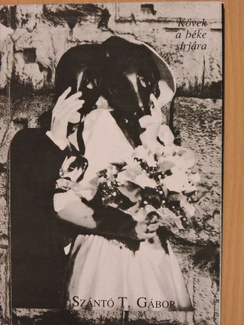 Szántó T. Gábor - Kövek a béke sírjára [antikvár]