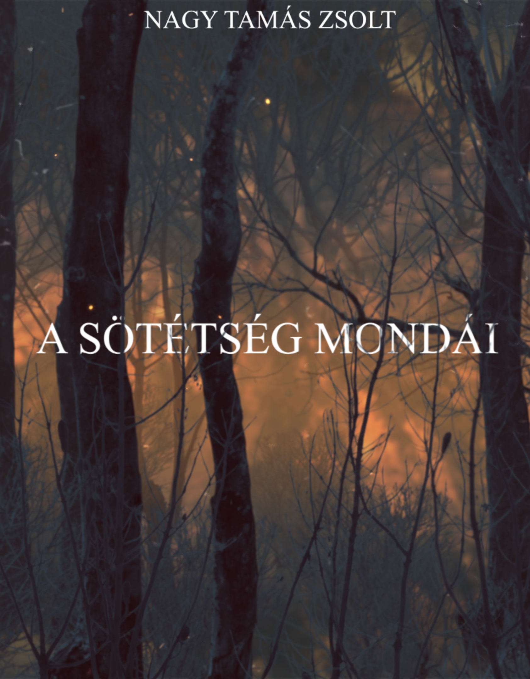Tamas Zsolt Nagy - A sötétség mondái [eKönyv: epub, mobi]