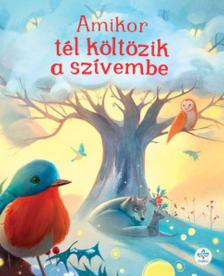 Chiara Ravizza - Amikor tél költözik a szívembe