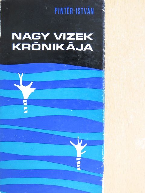 Pintér István - Nagy vizek krónikája [antikvár]