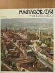 Baktai Ferenc - Magyarország madártávlatból [antikvár]