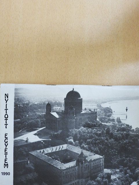 Füzes Miklós - Nyitott egyetem 1990 [antikvár]