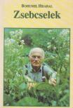 Szigeti László, Bohumil Hrabal - Zsebcselek [antikvár]