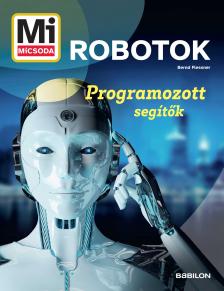 Bernd Flessner - Mi MICSODA Robotok